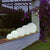 Illuminated ball Buly (various sizes)