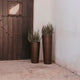 Round pot FICUS 60