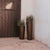Round pot FICUS 80