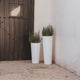 Round pot FICUS 60