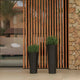 Round pot FICUS 60