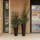Round pot FICUS 60