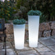 Round pot with light FICUS 80
