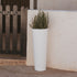 Round pot FICUS 80