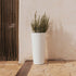 Round pot FICUS 60