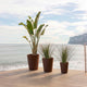 Round pot GERBERA 45