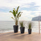 Round pot GERBERA 45