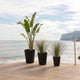 Round pot GERBERA 45