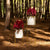 PLANT HOLDER LIFT + HORTENSIA 30 WHITE