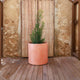 ROUND POT HORTENSIA 80