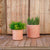Round pot HORTENSIA 40