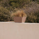 Rectangular pot JAZMIN 60