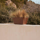 Rectangular pot JAZMIN 60