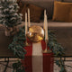 LUMINOUS SPHERE FOR CHRISTMAS LUA 20