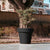Giant pot MAGNOLIA 160