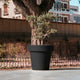 Giant pot MAGNOLIA 160
