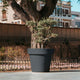 Giant pot MAGNOLIA 160