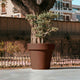 Giant pot MAGNOLIA 160