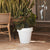 Round pot MAGNOLIA 60