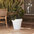 Round pot MAGNOLIA 60