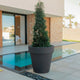 Large pot MAGNOLIA 80CM