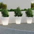 Giant pot with light MAGNOLIA 160