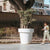 Giant pot MAGNOLIA 160