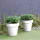 Round pot MAGNOLIA 45 CM