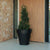 Large pot MAGNOLIA 80CM
