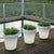 Round pot light MAGNOLIA 60