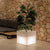 Square pot with light NARCISO 50