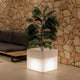 Square pot with light NARCISO 50