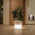 Square pot with light NARCISO 50