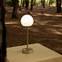 Norai Slim 30 Table Lamp