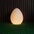 Egg-shaped lamp OVO