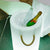 Illuminated bottle rack PALMA 70