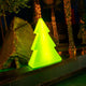 Green Christmas Tree Pinus 160