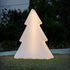 Christmas Tree Pinus 160