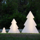 Christmas Tree Pinus 160