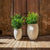 ALOE 45 Round Planter