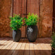 ALOE 45 Round Planter