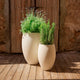 ALOE 45 Round Planter