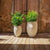 ALOE 45 Round Planter