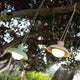Wireless pendant lamp SYROS
