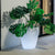 Round pot light VIOLETA 55