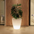 Round pot light VIOLETA 55
