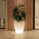 Round pot light VIOLETA 55 cable
