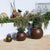 Round DALIA 50 flowerpot