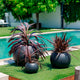 Round DALIA 50 flowerpot