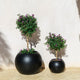 Round DALIA 50 flowerpot